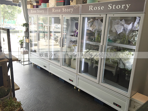 J008江蘇鹽城ROSE STORY鮮花店冷柜冰柜